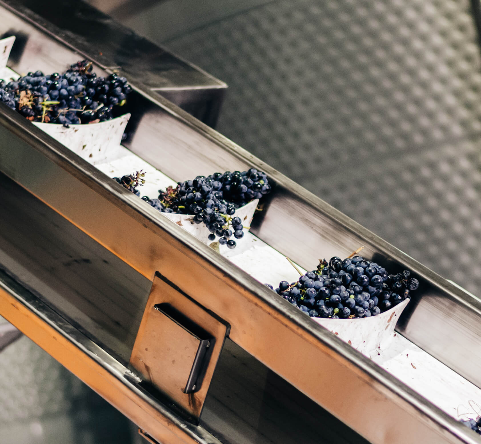 อุตสาหกรรมอาหารและเครื่องดื่ม